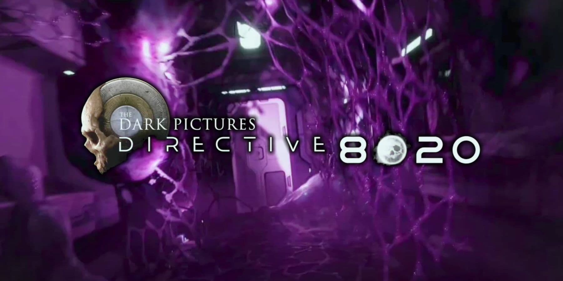 Directive 8020 screenshot 1